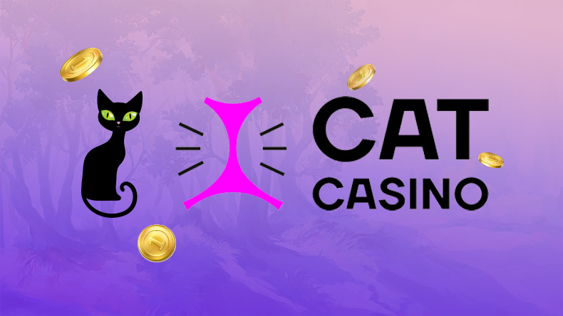 cat casino обзор